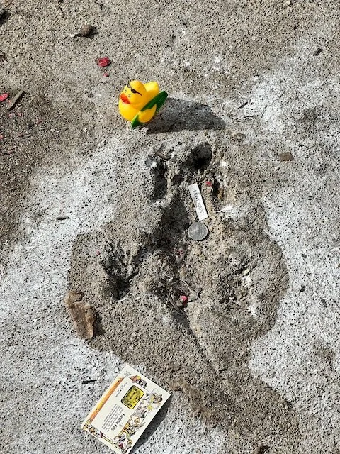 Save the Rat Hole — The New Chicagoan